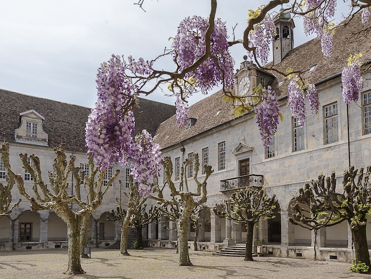 La cours de l'hopital St Jacques